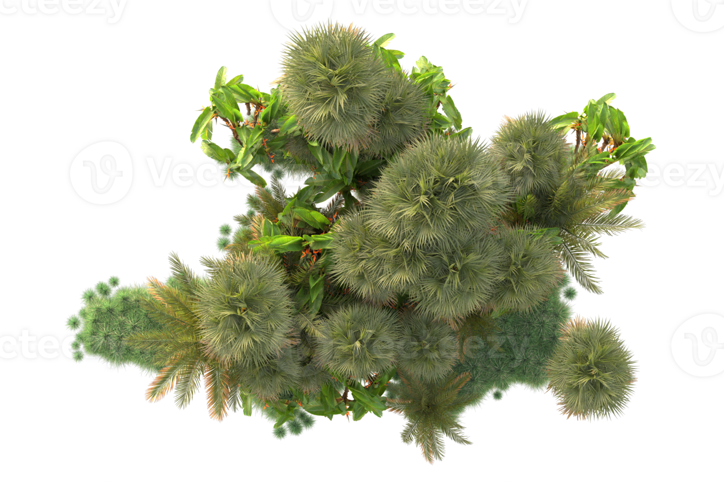 Tropical forest isolated on transparent background. 3d rendering - illustration png