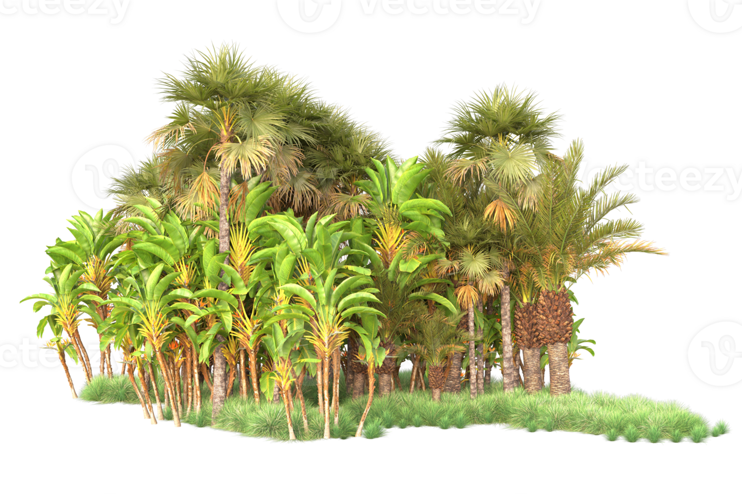 Tropical forest isolated on transparent background. 3d rendering - illustration png