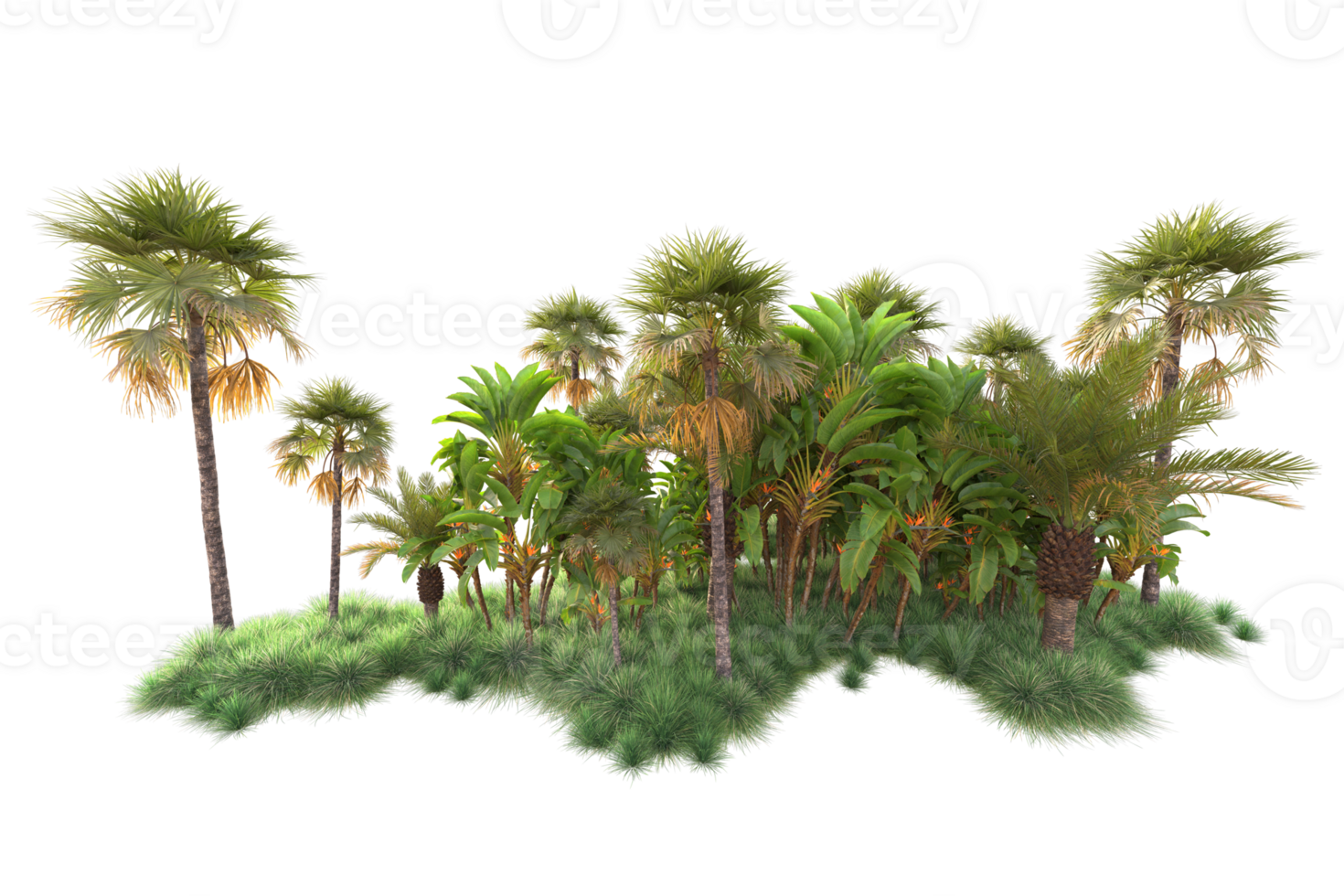 Tropical forest isolated on transparent background. 3d rendering - illustration png