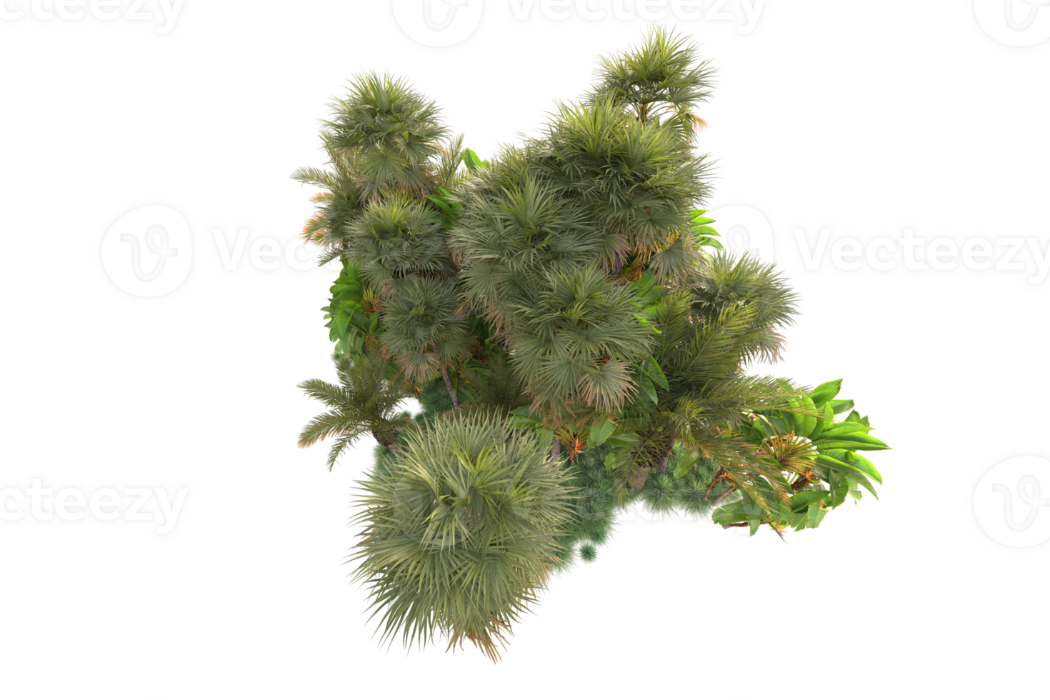 Tropical forest isolated on transparent background. 3d rendering - illustration png