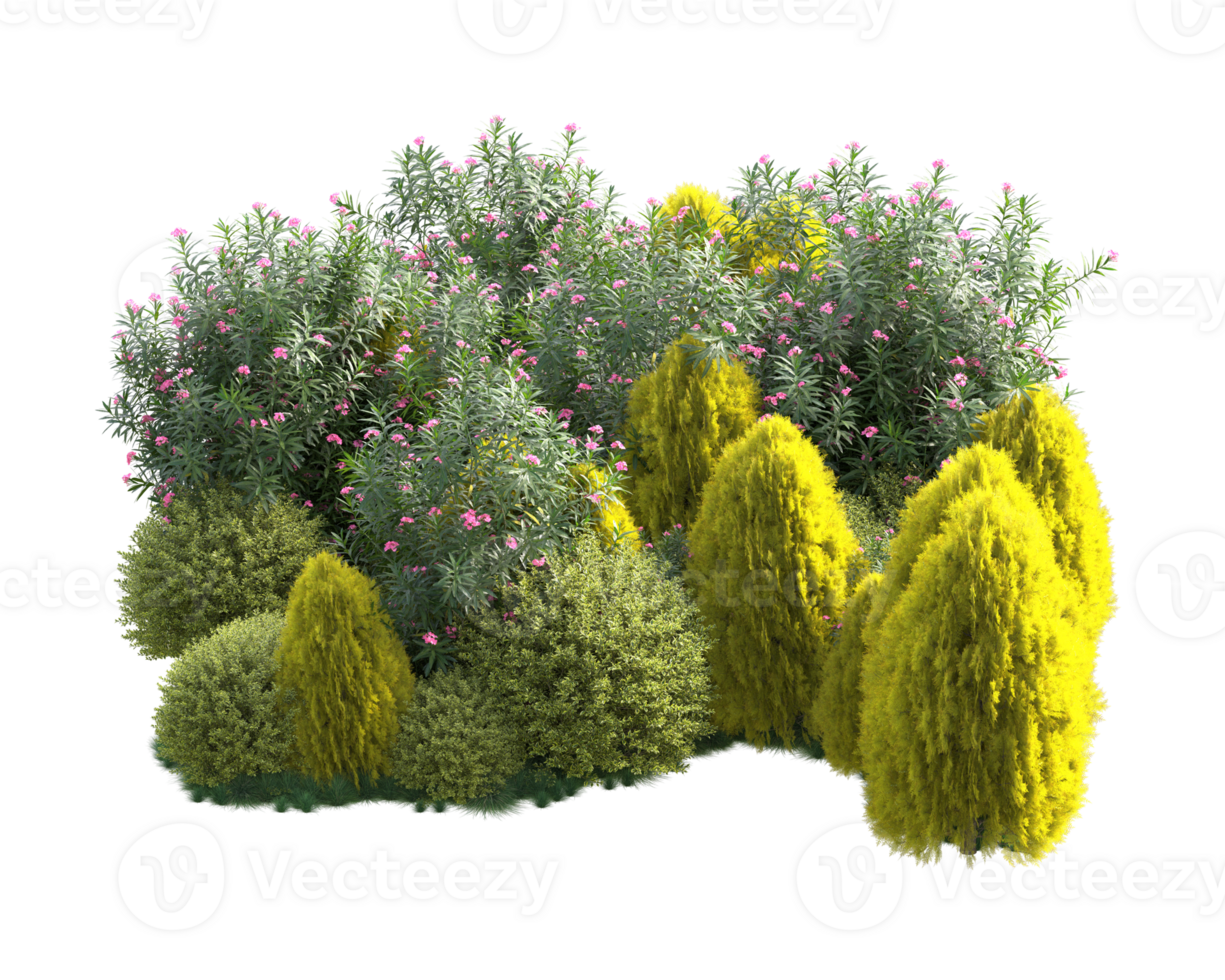 Tropical forest isolated on transparent background. 3d rendering - illustration png