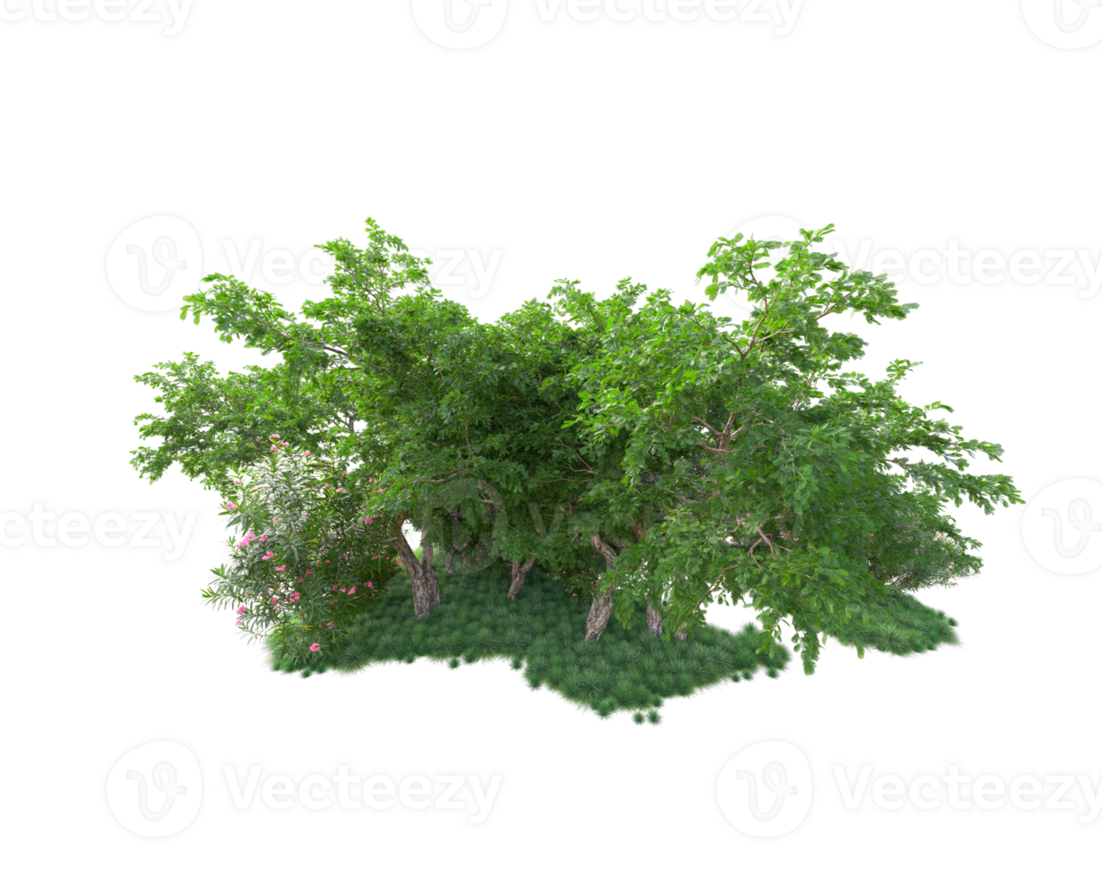 Tropical forest isolated on transparent background. 3d rendering - illustration png