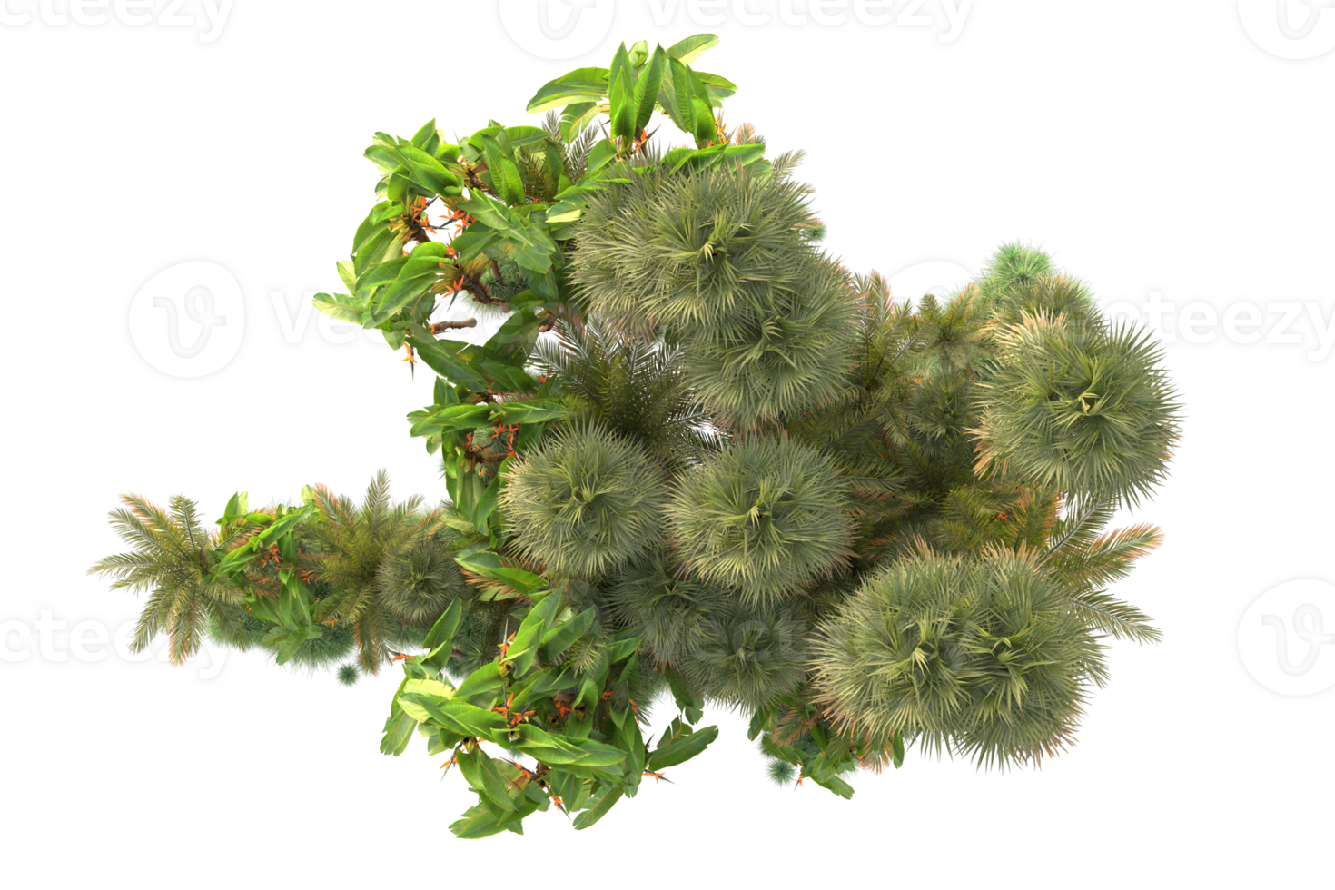 Tropical forest isolated on transparent background. 3d rendering - illustration png