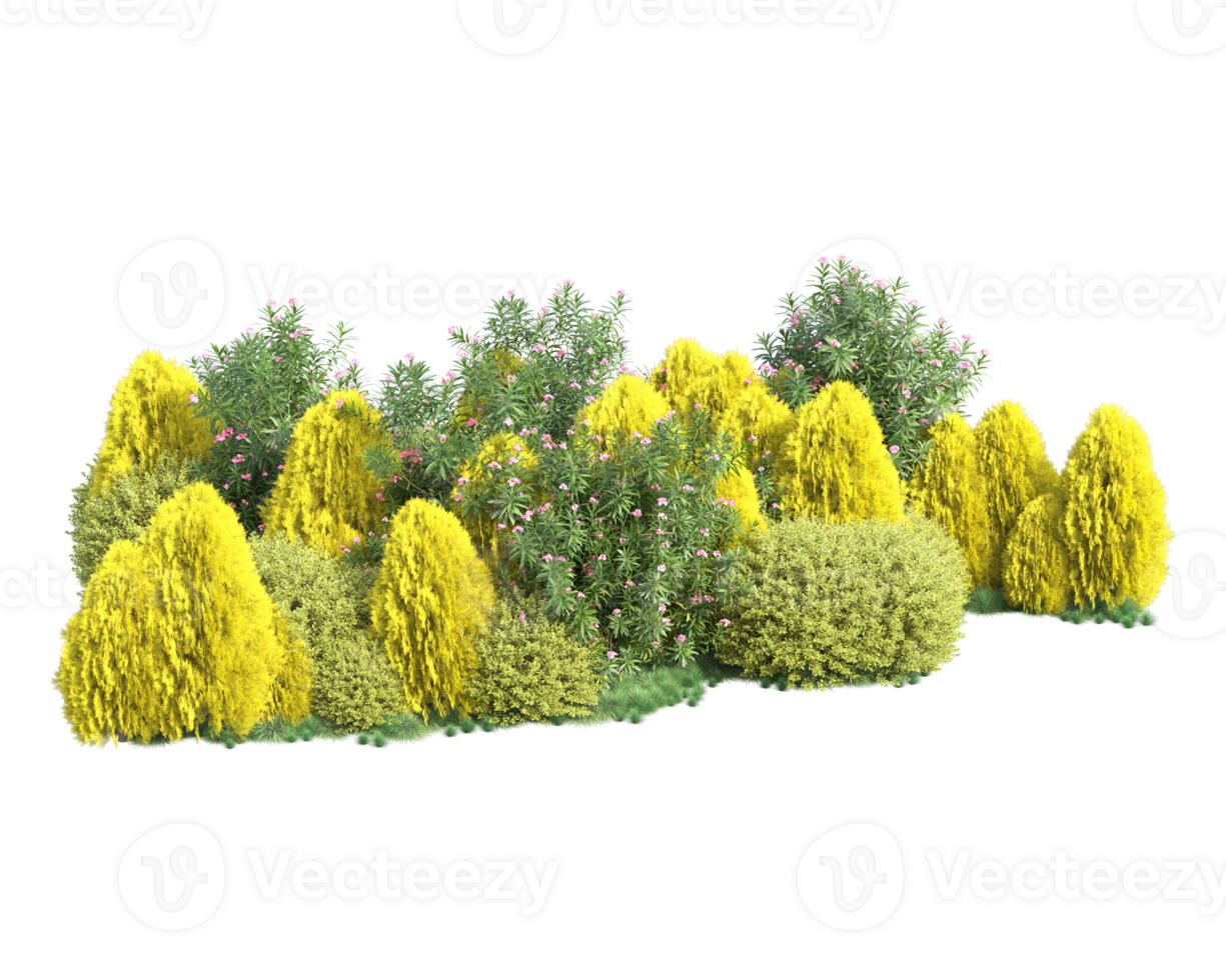Tropical forest isolated on transparent background. 3d rendering - illustration png