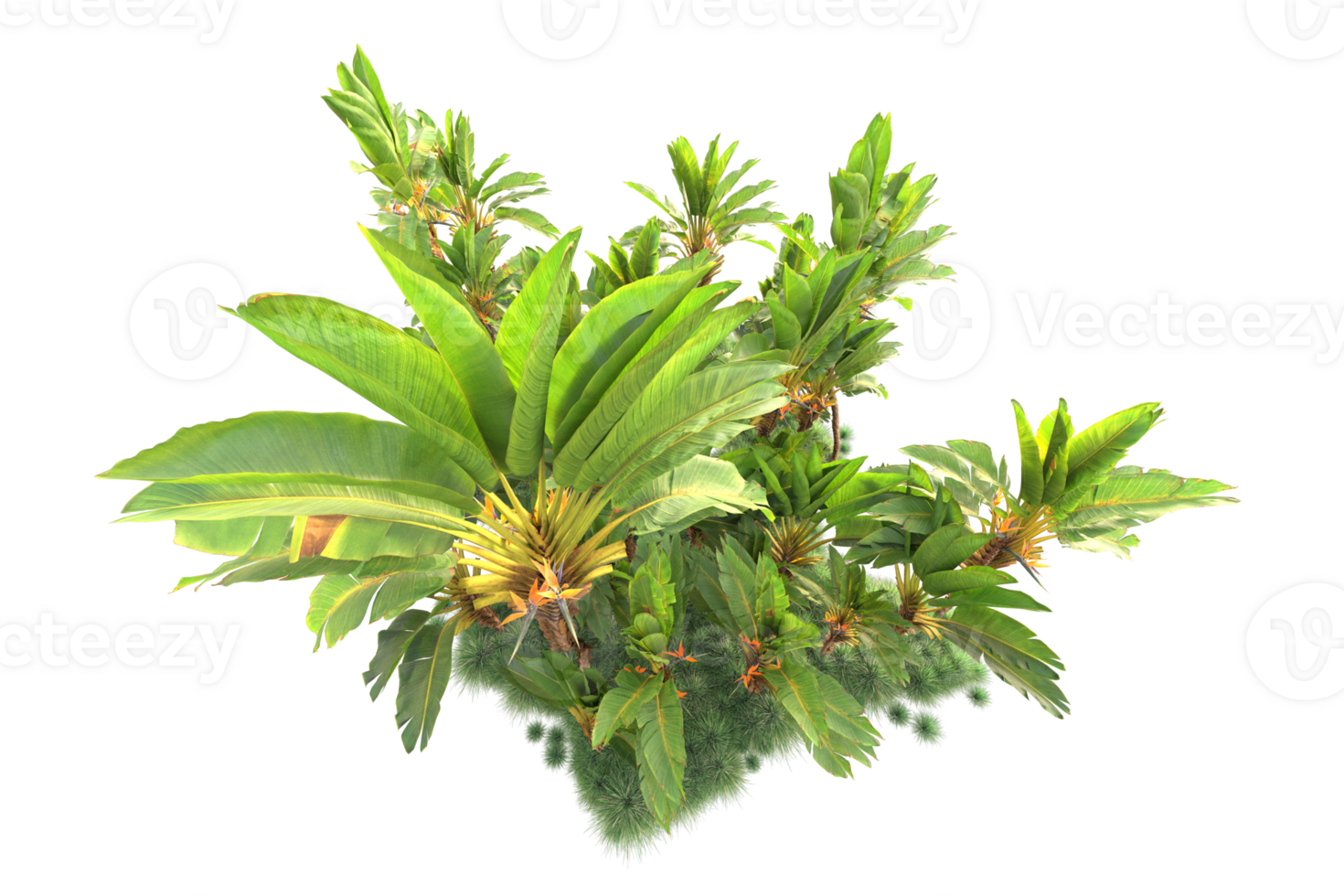 Tropical forest isolated on transparent background. 3d rendering - illustration png