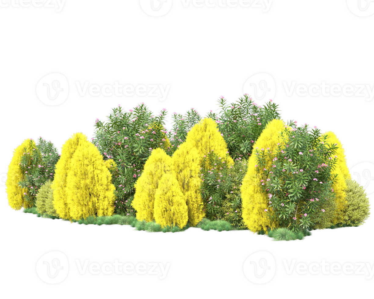 Tropical forest isolated on transparent background. 3d rendering - illustration png