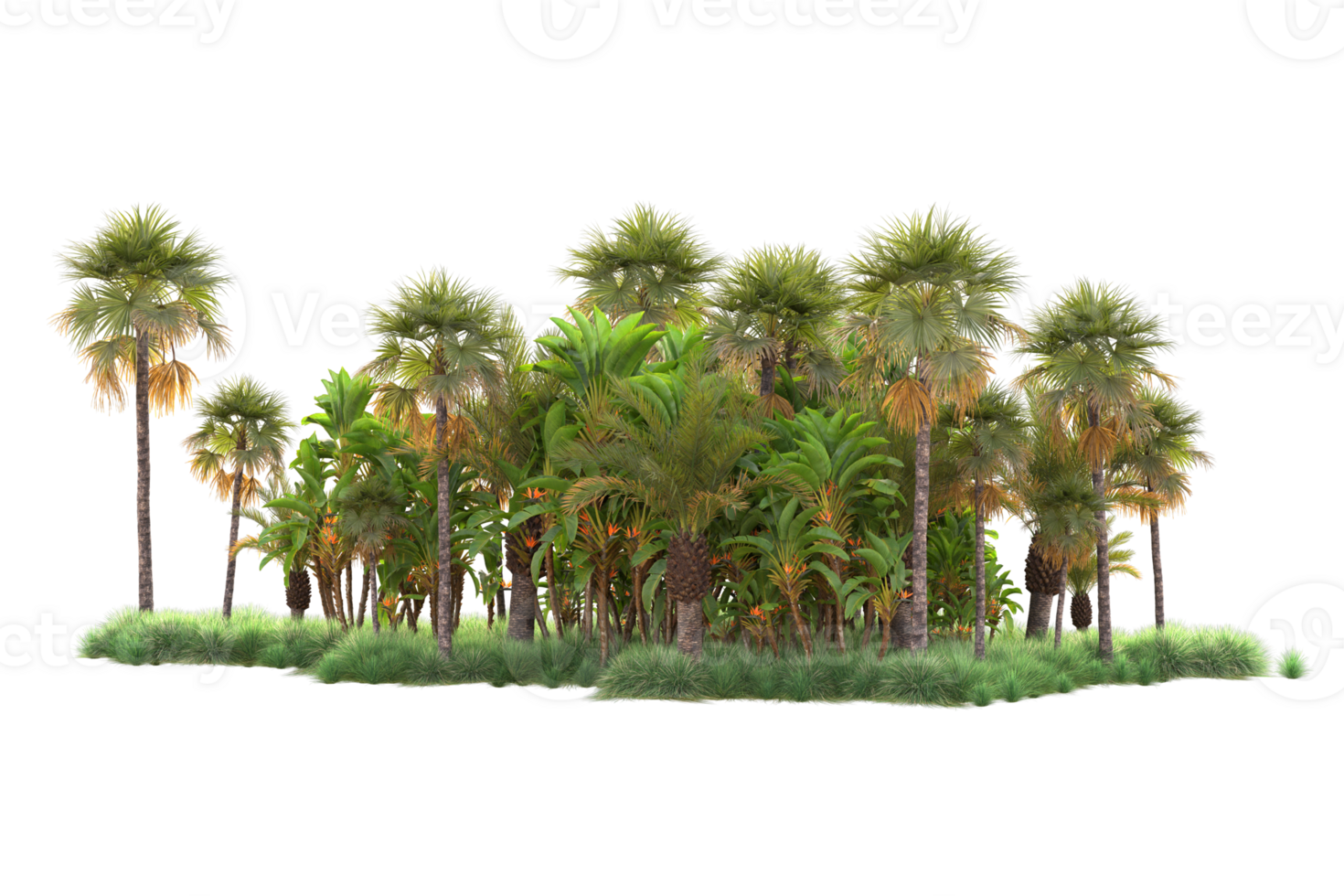 Tropical forest isolated on transparent background. 3d rendering - illustration png