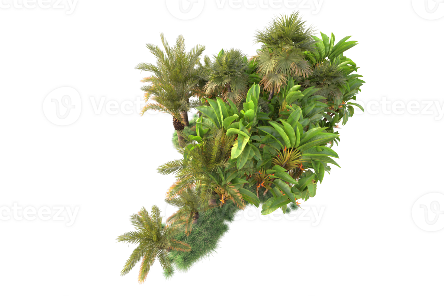 Tropical forest isolated on transparent background. 3d rendering - illustration png
