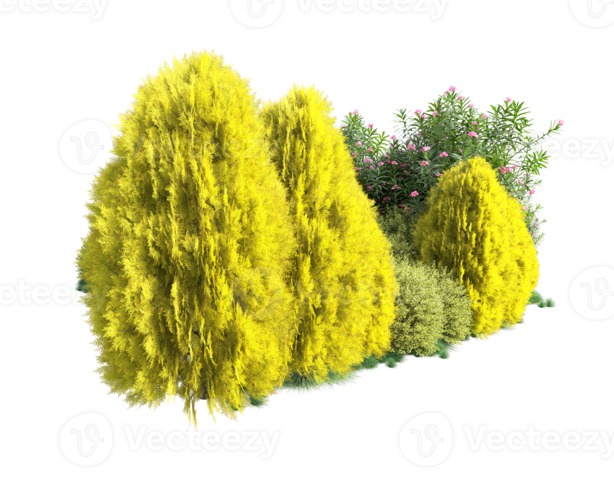Tropical forest isolated on transparent background. 3d rendering - illustration png