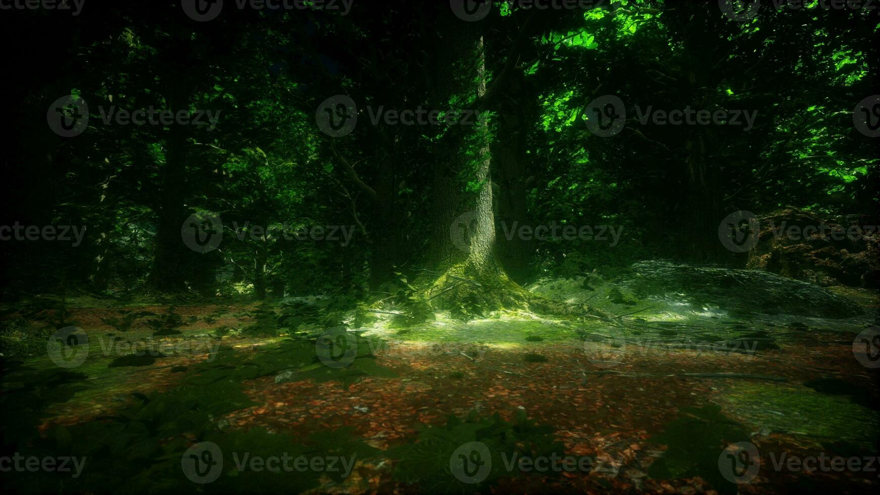 close-up green moss on tree in the forest photo