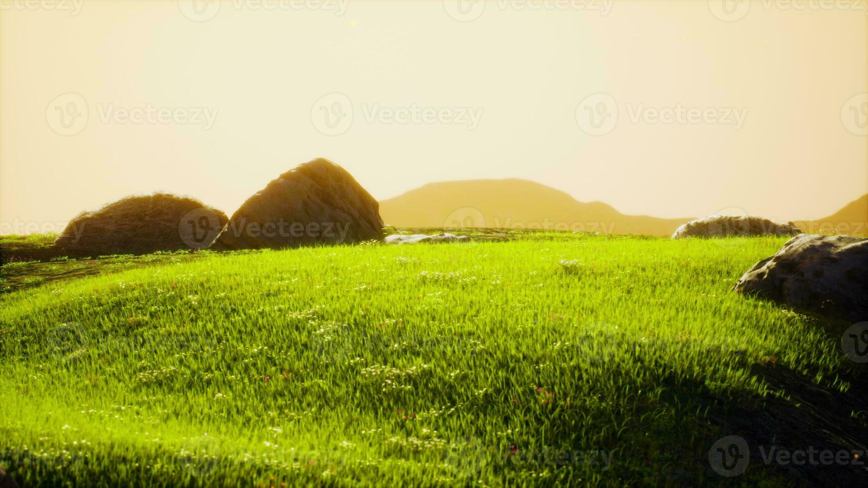 Green meadow on the background of the mountains photo