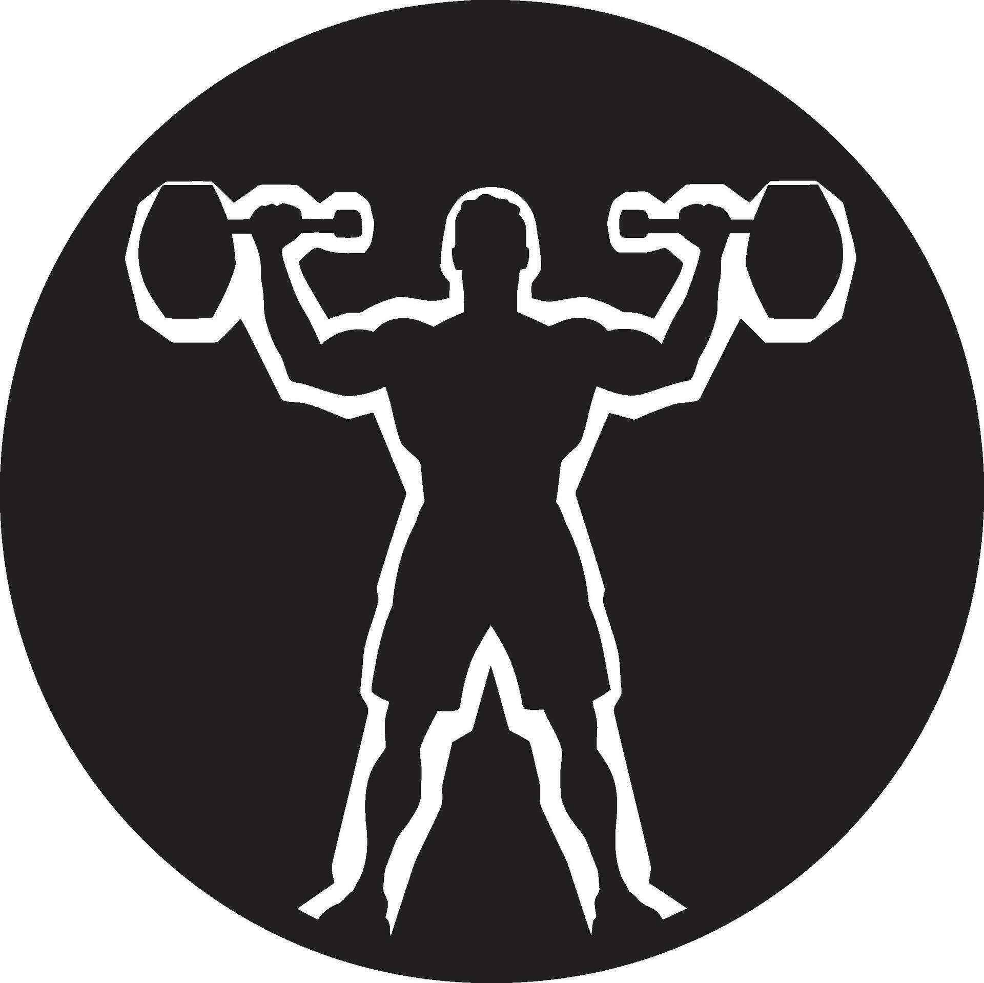 Bodybuilding Basics Vector Designs for Fitness Icons Active Anatomy