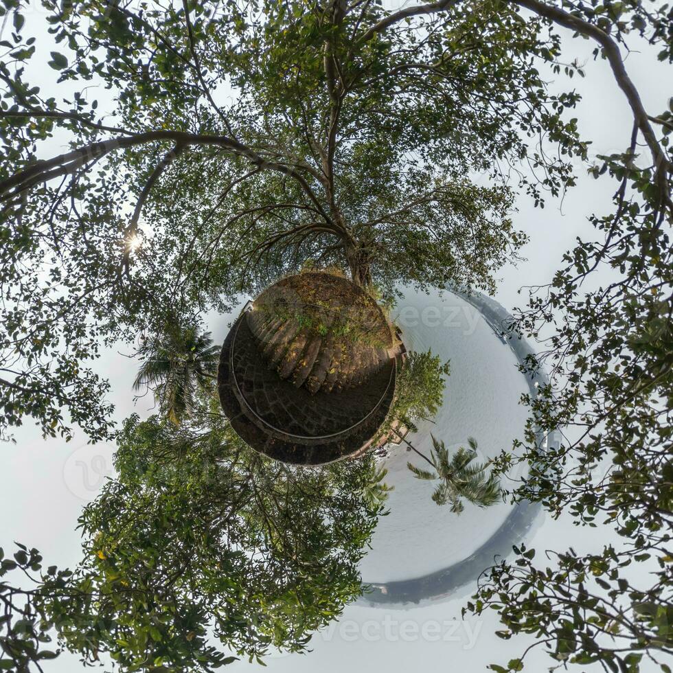 tiny planet transformation of spherical panorama 360 degrees. Spherical abstract aerial view in forest with clumsy branches. Curvature of space. photo