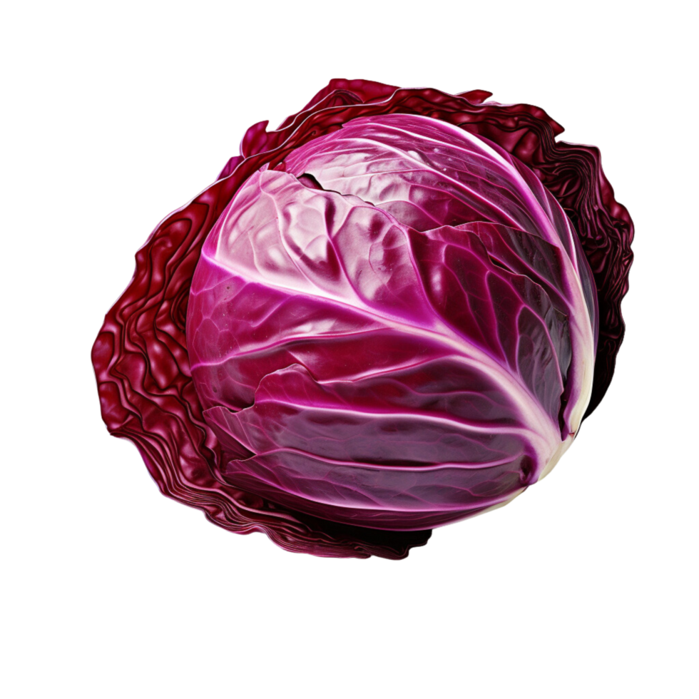 AI generated Red cabbage clip art png
