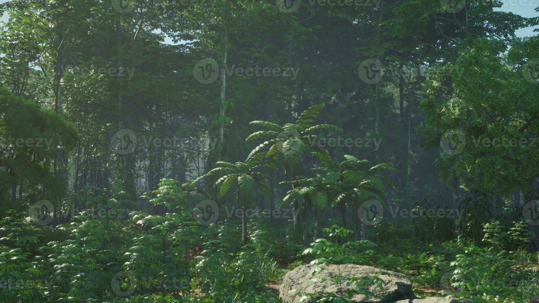 inside a rainforest covered in bright green moss photo