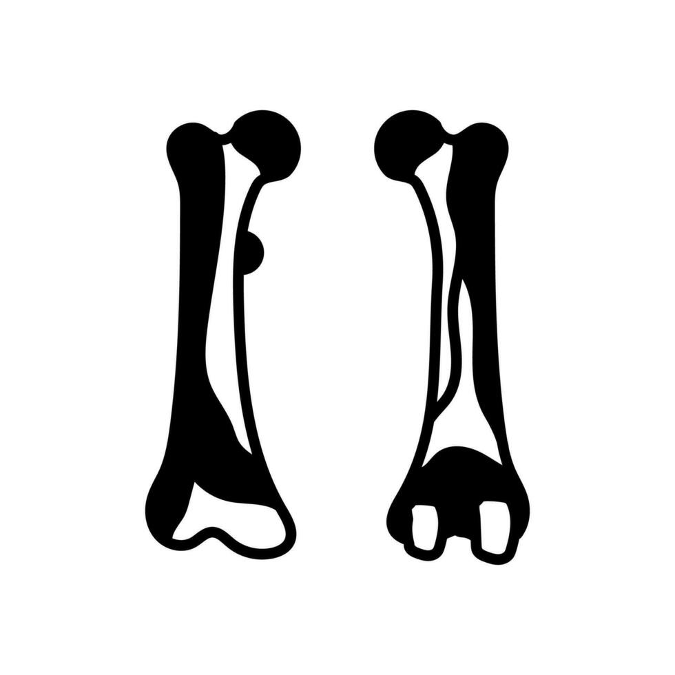 Femur icon in vector. Logotype vector