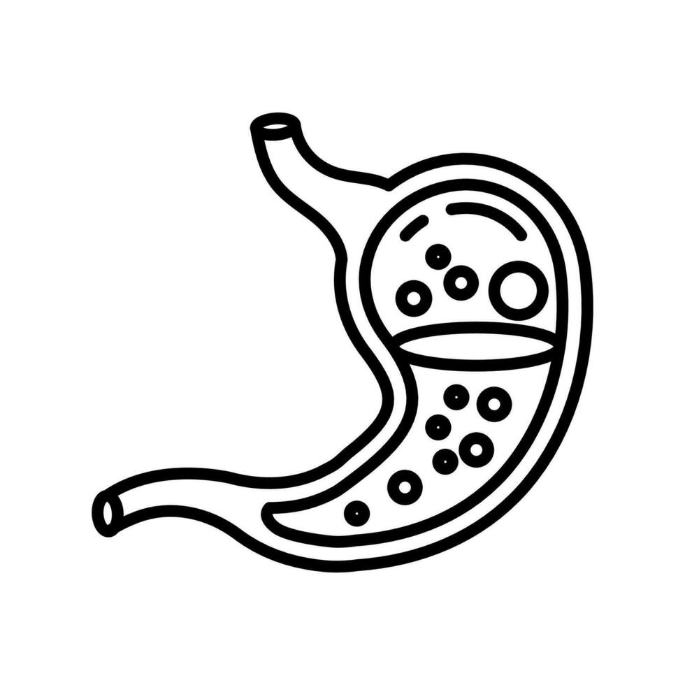 estómago icono en vector. logotipo vector