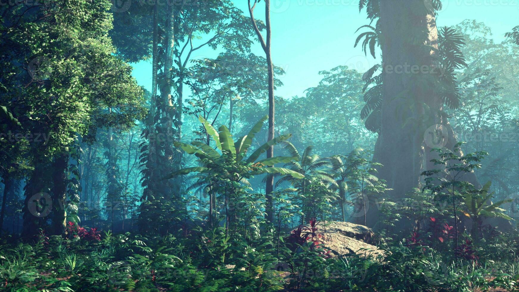 inside a rainforest covered in bright green moss photo