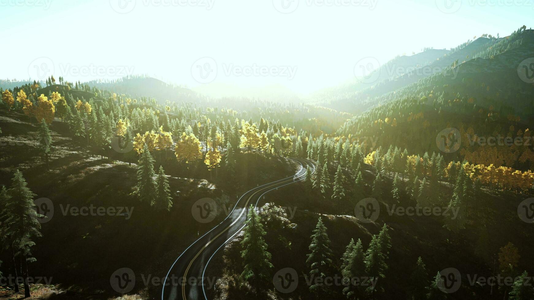 An empty road winding through a beautiful forest at sunset photo