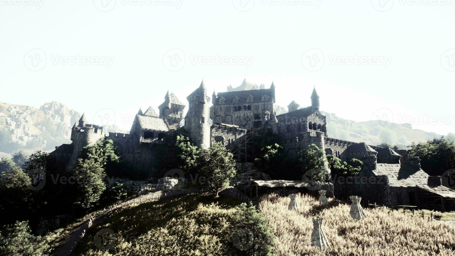 Aerial view of medieval castle with inner and outer courtyard photo