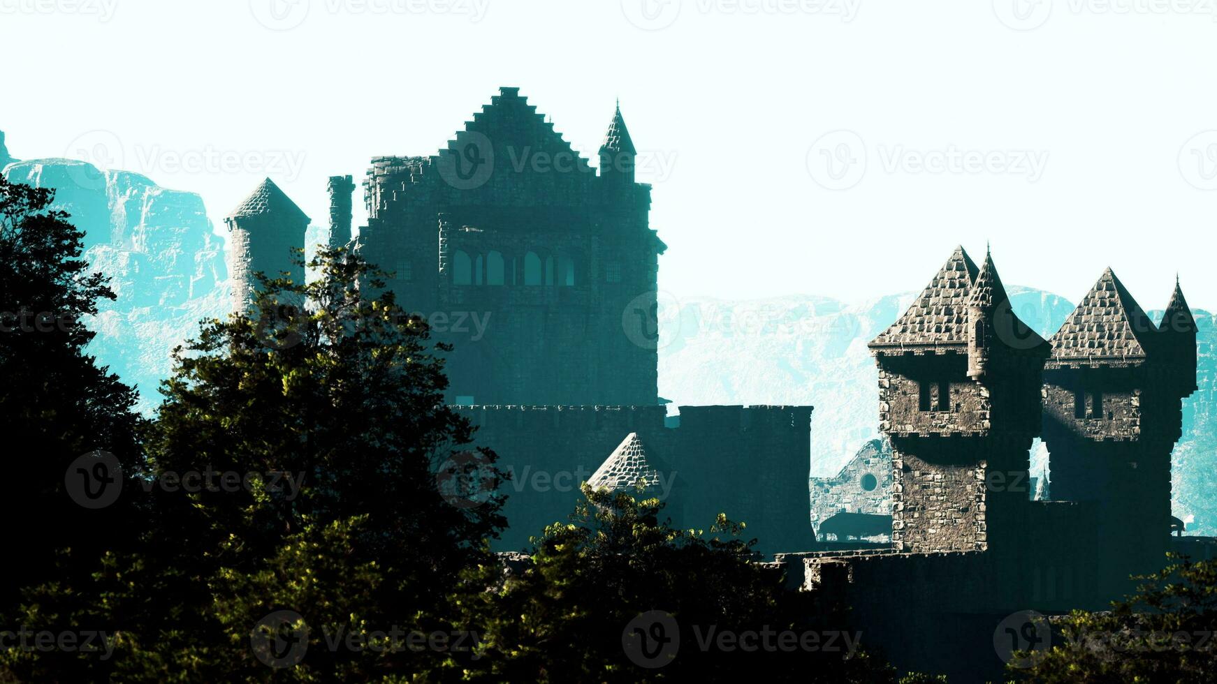 Aerial view of medieval castle with inner and outer courtyard photo