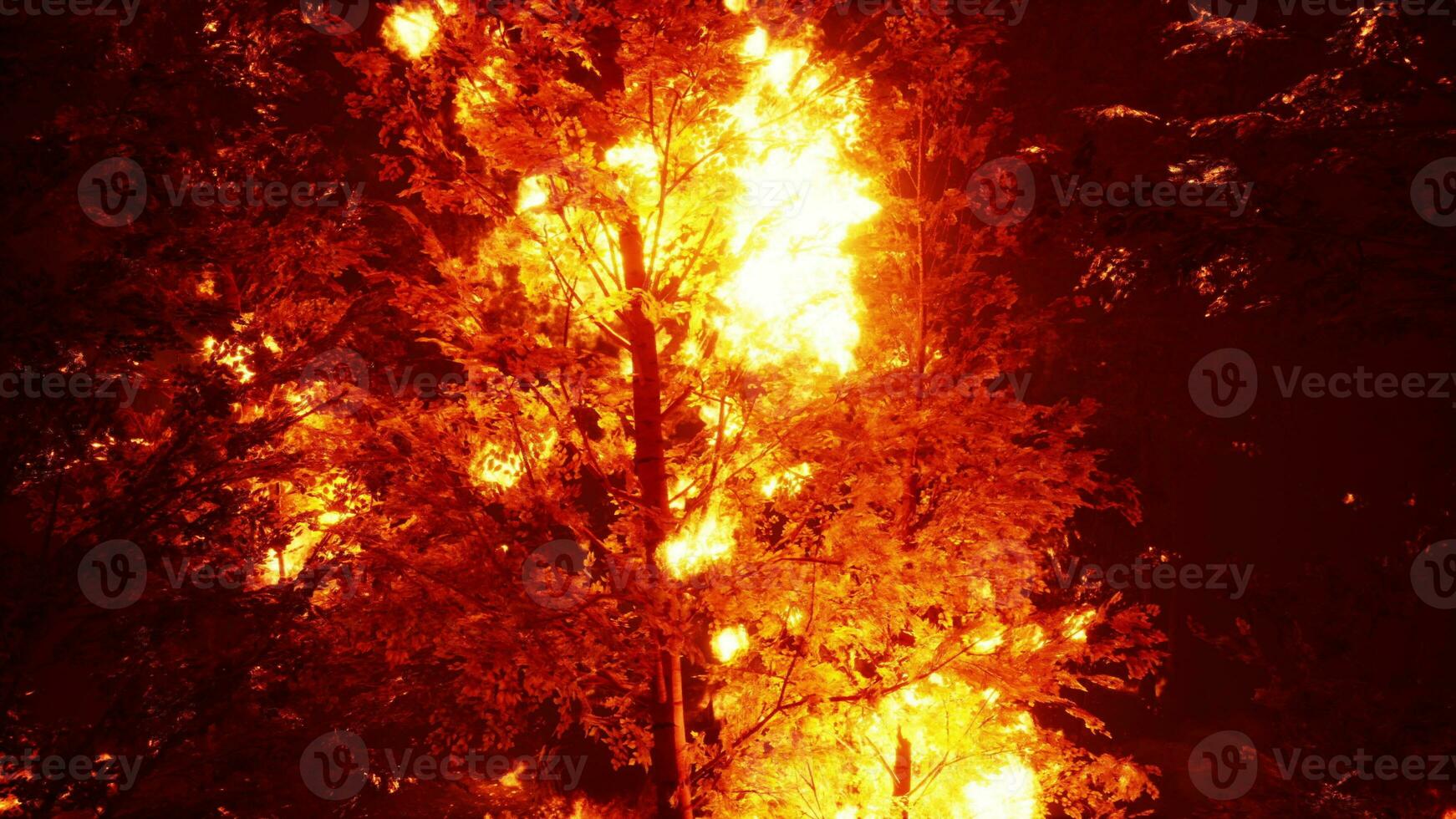 Intense flames from a massive forest fire photo