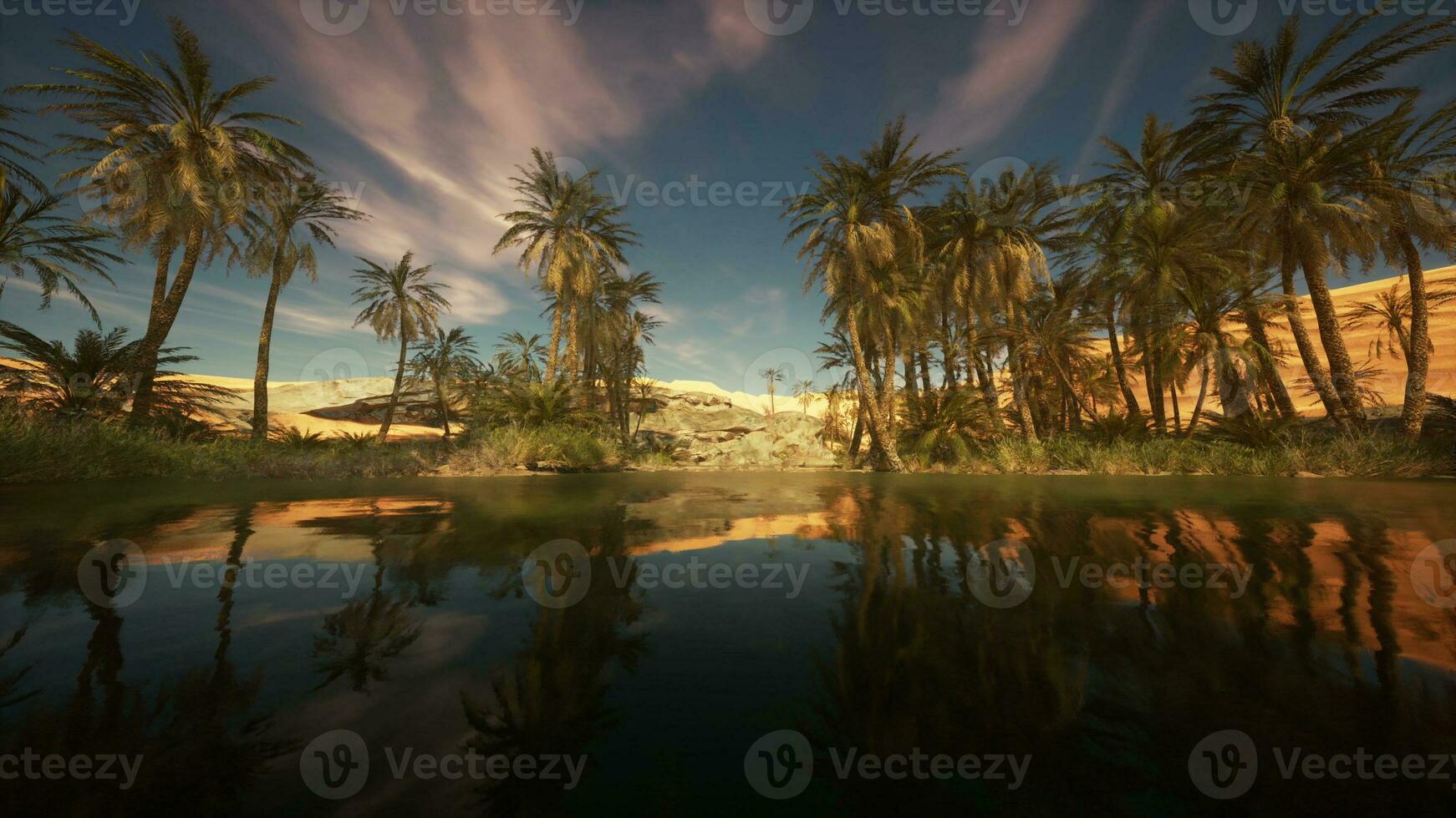 palma arboles en Desierto liwa dunas foto