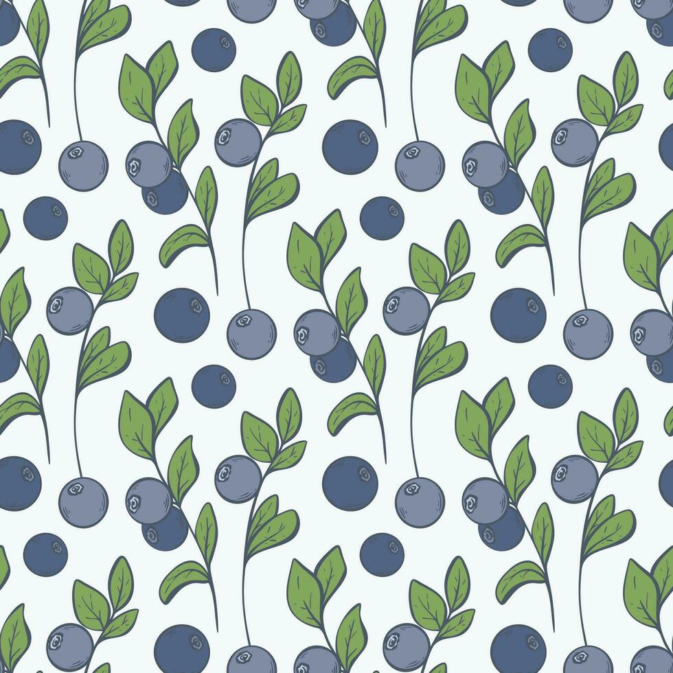 Blueberry on twig seamless pattern vector