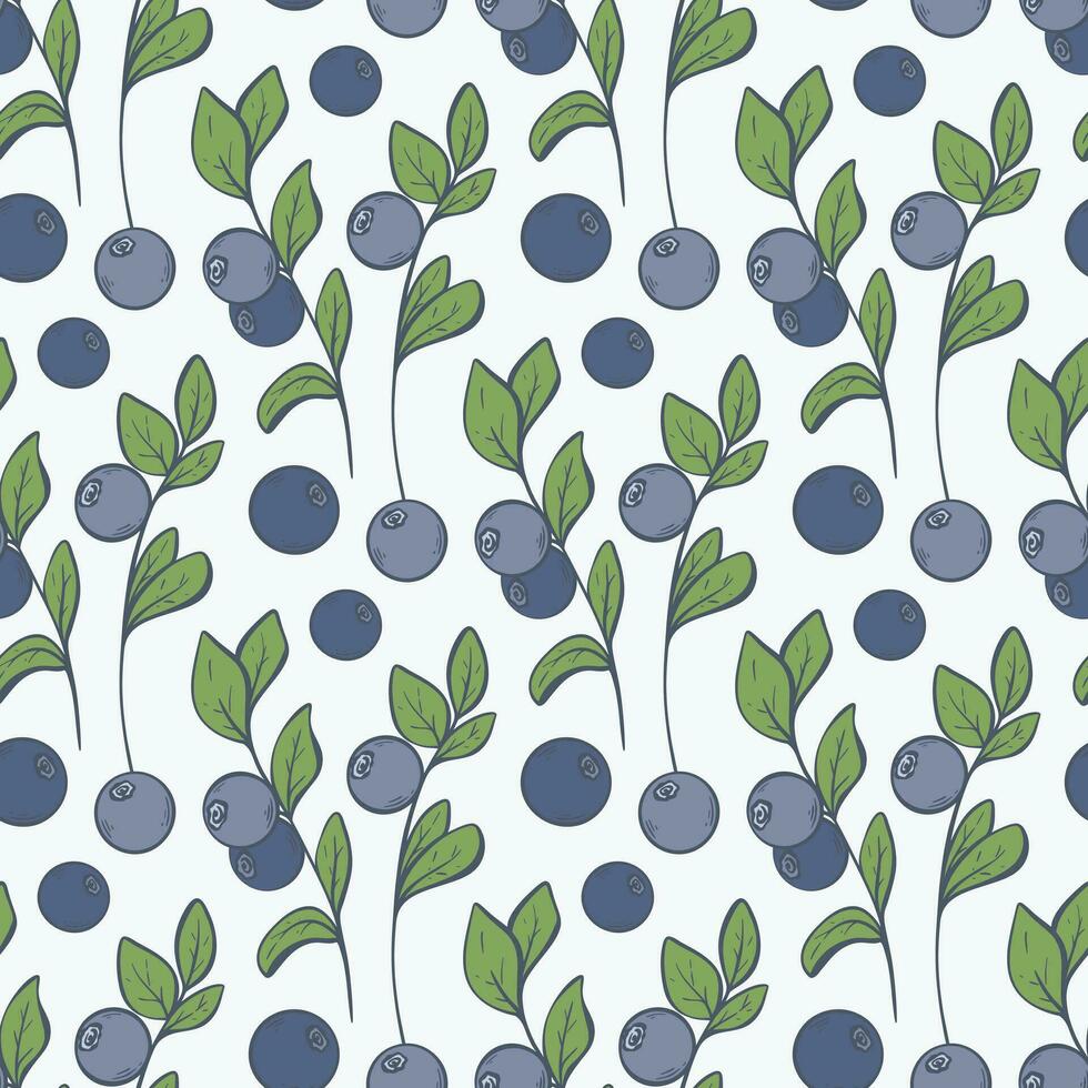 Blueberry on twig seamless pattern vector