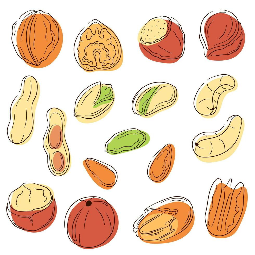 nueces íconos conjunto en línea Arte estilo. maní, pacana, anacardo, avellana, macadamia, nuez, almendra, pistacho. vector ilustración aislado en un blanco antecedentes.