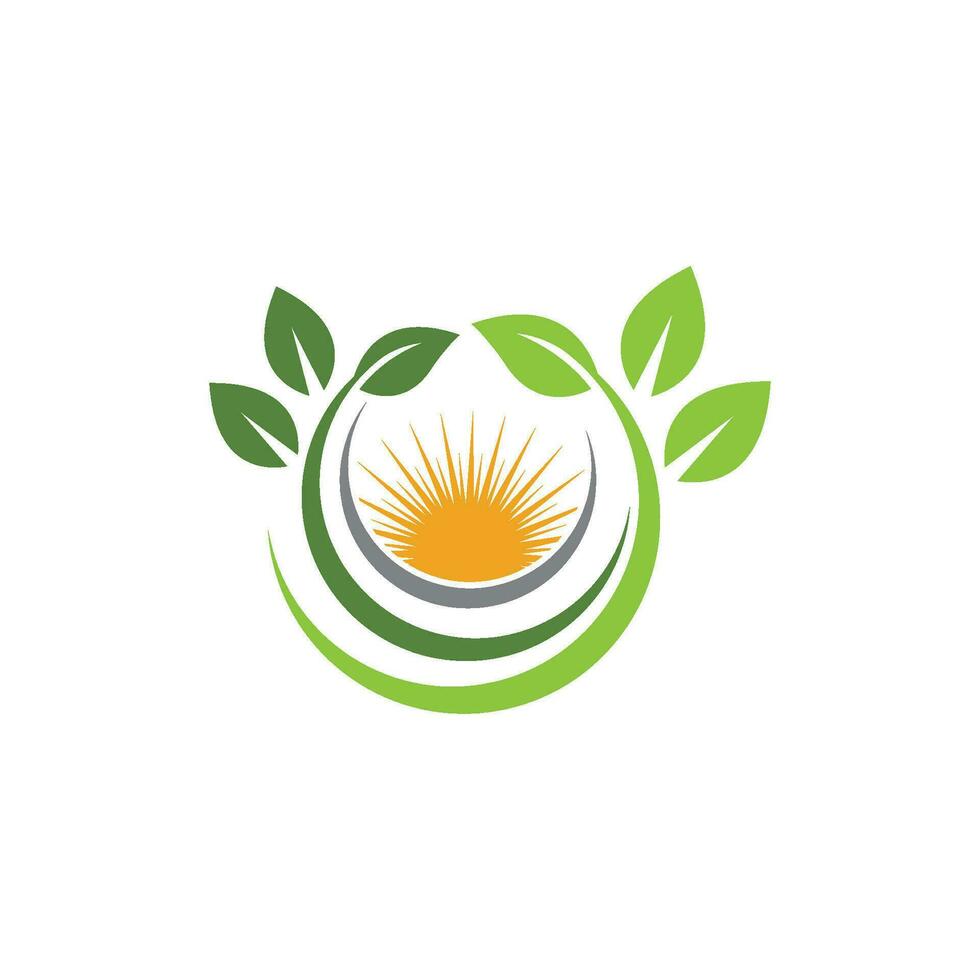 Logos of green Tree leaf ecology vector