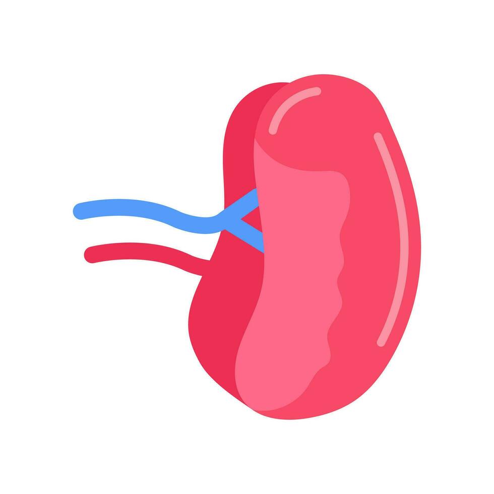 Spleen icon in vector. Logotype vector