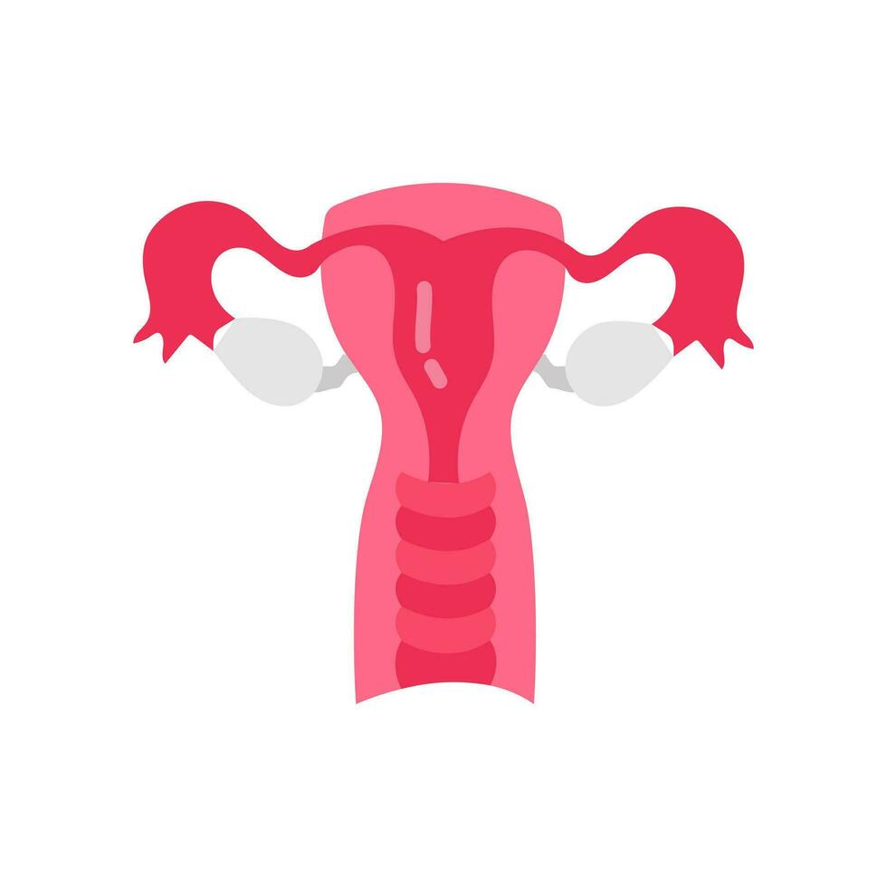 Thoracic Muscles icon in vector. Logotype vector