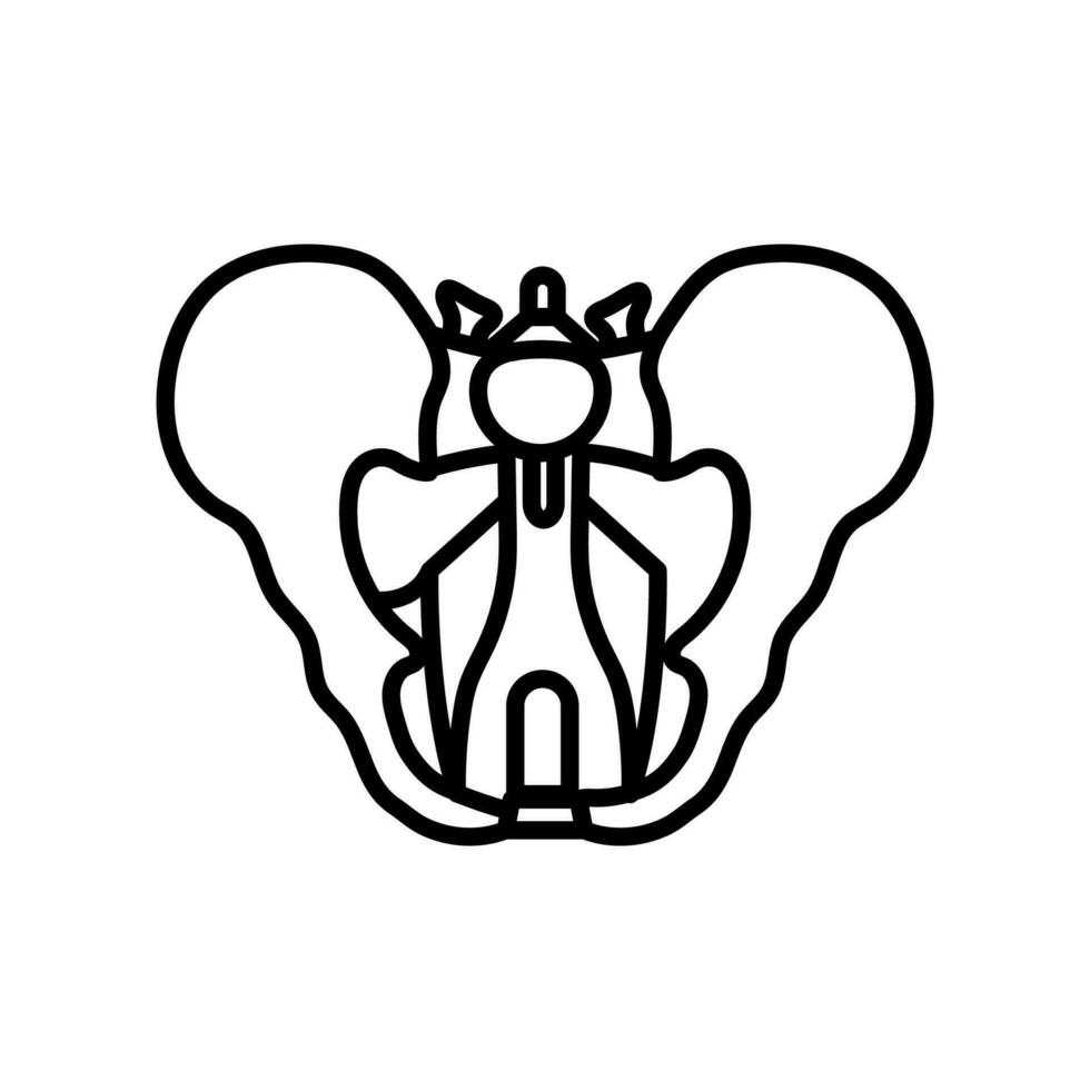 Pelvic Diaphragm icon in vector. Logotype vector