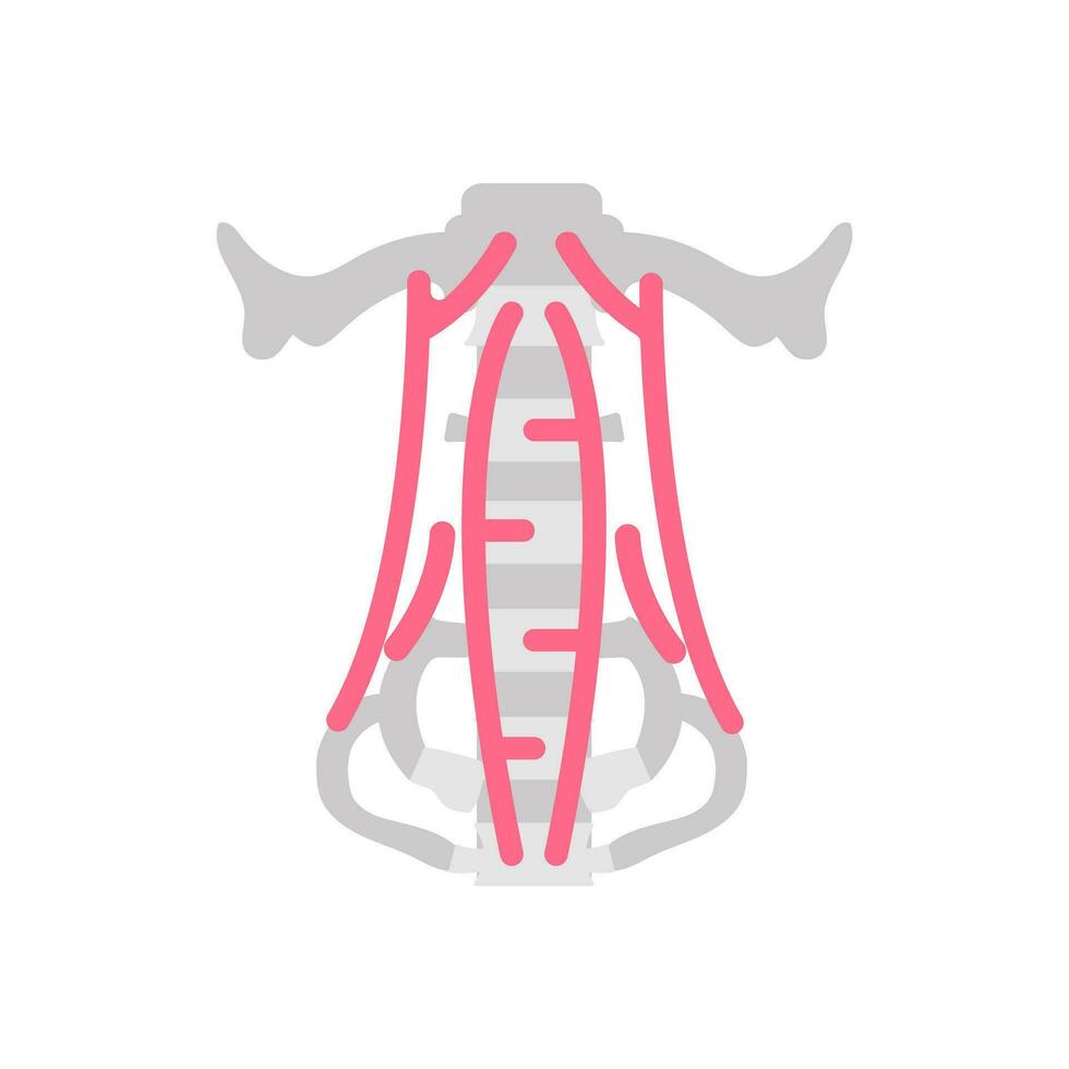 Flexor Muscles icon in vector. Logotype vector