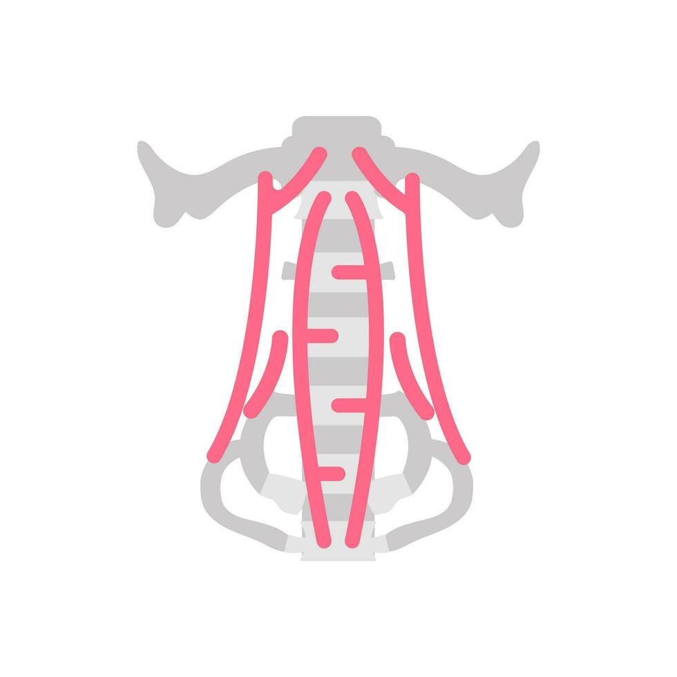 Flexor Muscles icon in vector. Logotype vector