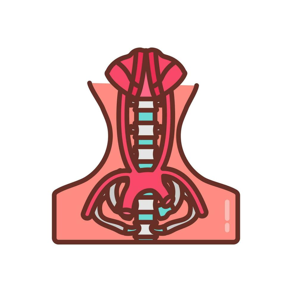 Vasculature Of Pelvis icon in vector. Logotype vector