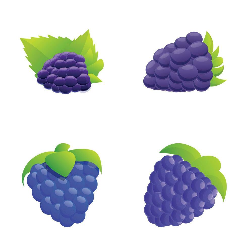 Blackberry icons set cartoon vector. Fresh blackberry fruit with stem vector