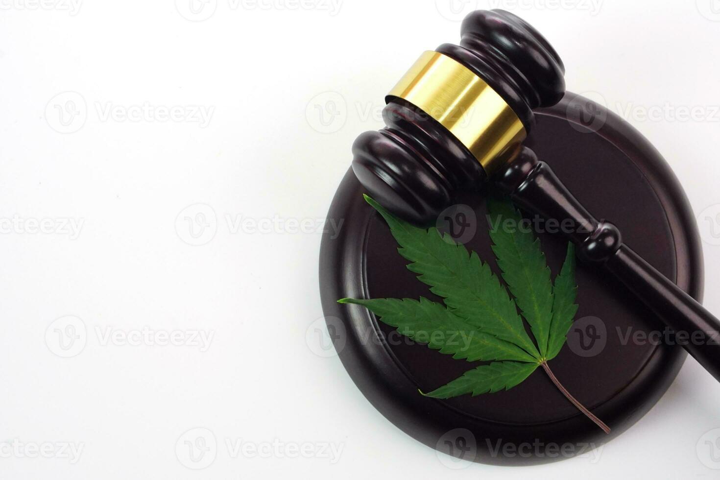 Cannabis leaf or marijuana leaf with judge hammer on white background. Law, judiciary concept. photo