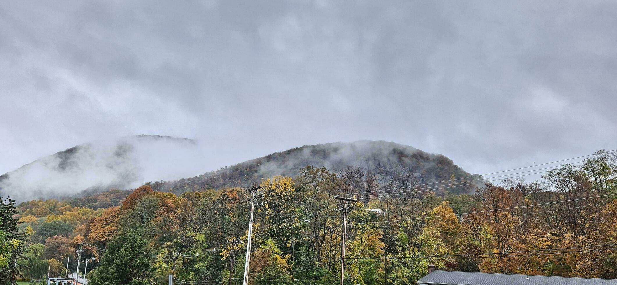 the mist of the tree on the mountain photo