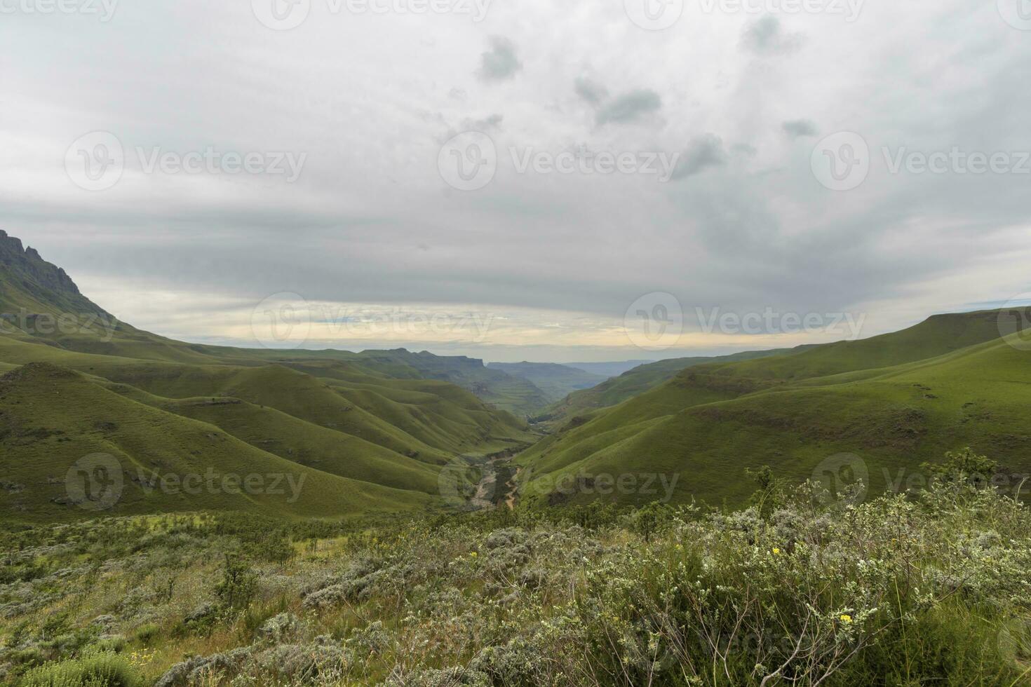 Green valley in Drakensberg photo