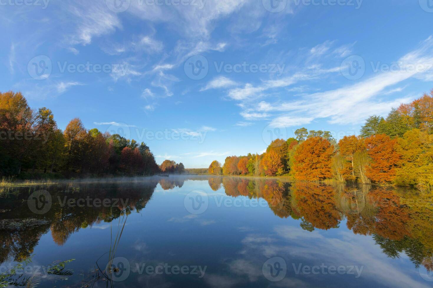 Autumn colored trees reflect on the water in the lake photo