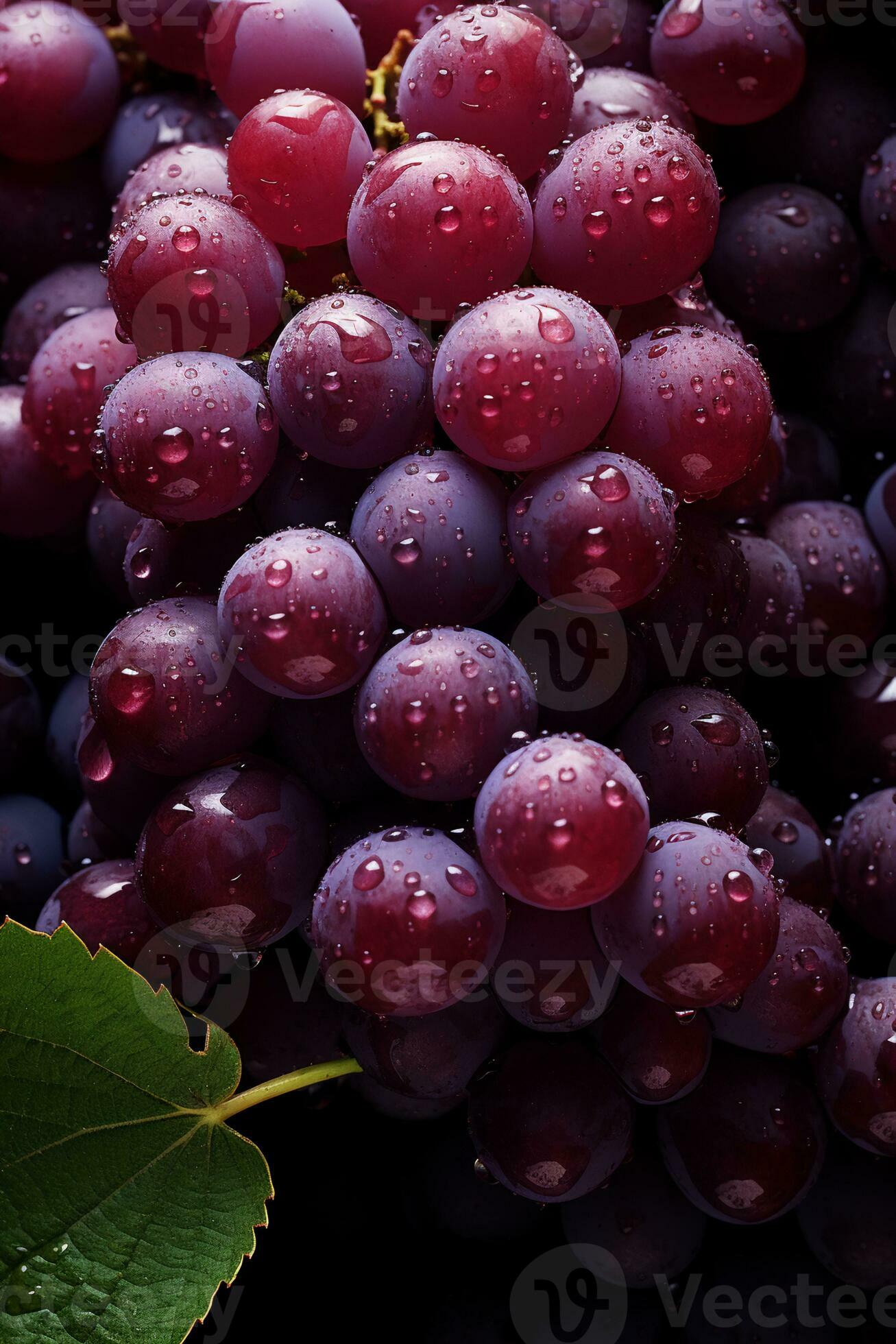 AI generated Red wine grape variety of Pinot Noir 35017202 Stock Photo AI generated Red wine grape variety of Pinot Noir 35017202 Stock Photo