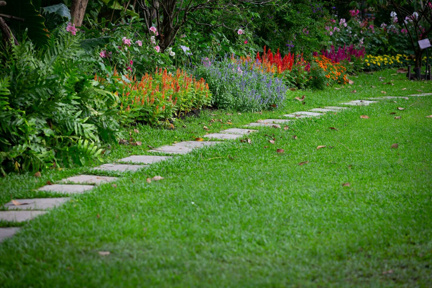 Background image of a garden path with colorful flowers planted beside it. photo