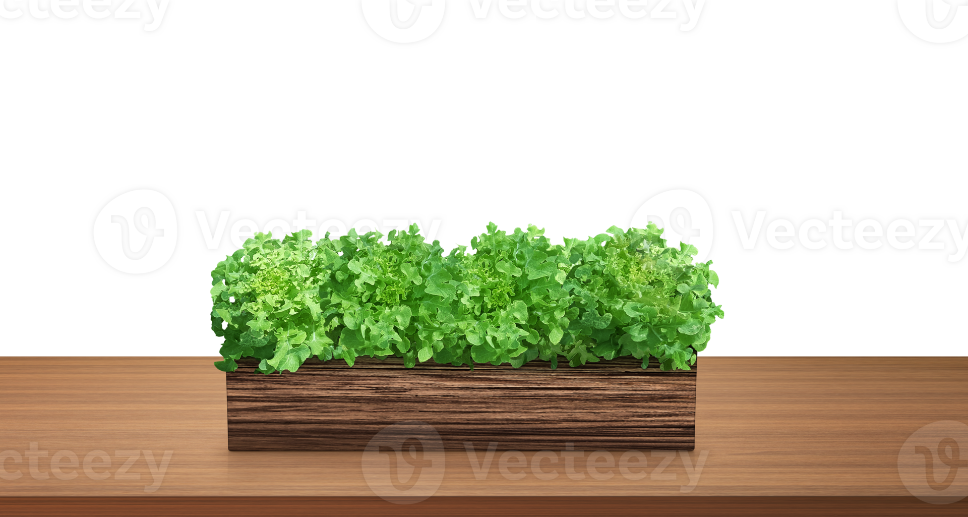 Natural lettuce in a wooden container on a wooden table png transparent