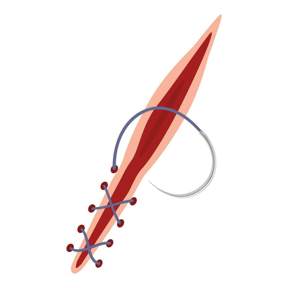 Scar suture icon cartoon vector. Skin injury cut vector