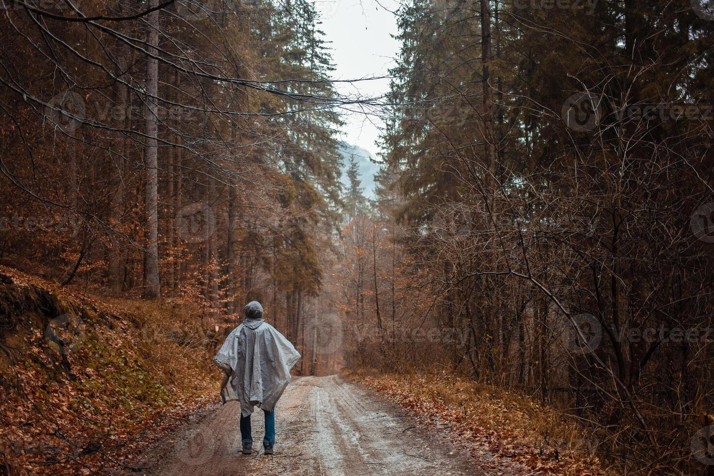 man in raincoat walks through forest, rain, loneliness, autumn and winter, man inside himself, reflections photo