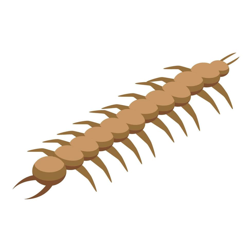 Worm natural insect icon isometric vector. Pupa life change vector