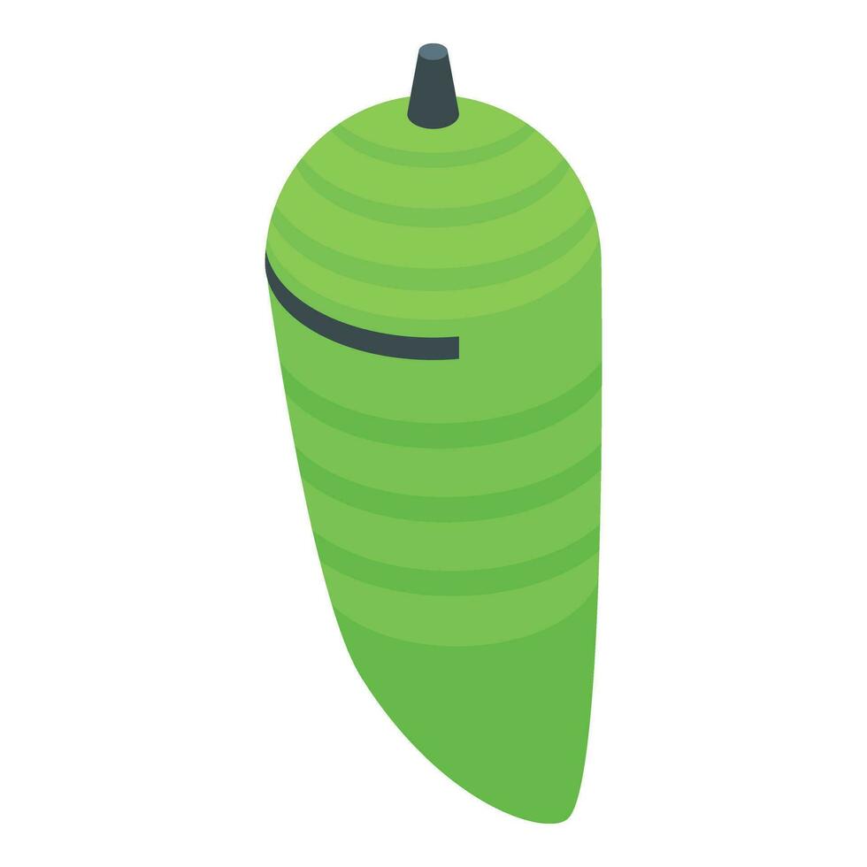 Green leaf cocoon icon isometric vector. Stage cute leaf vector