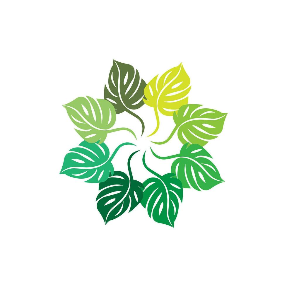 monstera logo vector modelo símbolo diseño